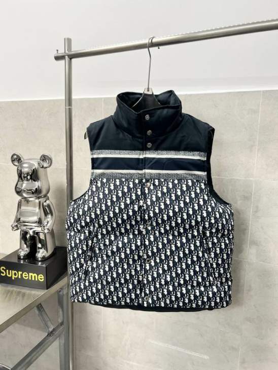 Picture of Dior Down Jackets _SKUDiorS-2XLxetr9037765